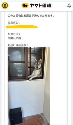 凛々しい表情にクスッ