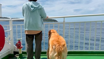 船のデッキから海を見つめる犬と女性