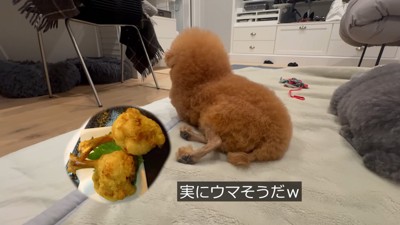 骨付きチキンにそっくり!?