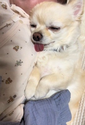また別の日には…