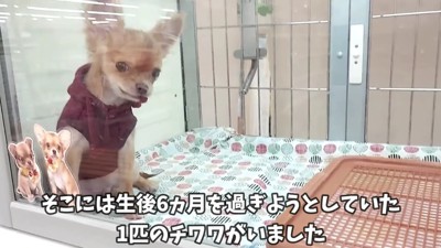 幸せにしてあげられたら…