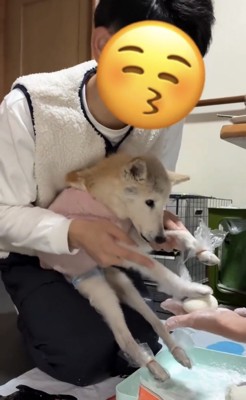 そっとお餅に触れる犬の前足