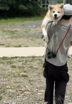 川を出たパパ