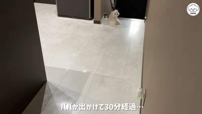 パパさんの帰りを待つナナくん4