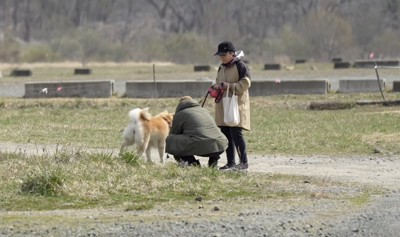 原っぱで散歩をする犬と家族
