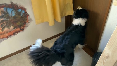 ドアの前でソワソワ…
