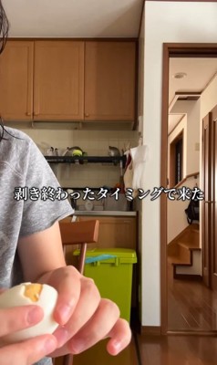 ゆで卵をむいた時のベラちゃん7