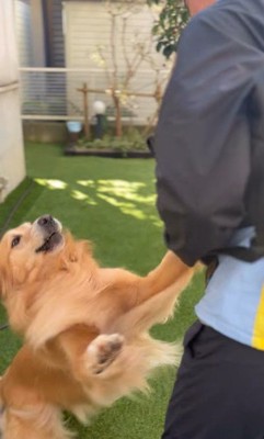 そら君とブリーダーさんの再会3