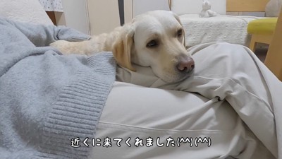 ママさんが移動したらついてきます
