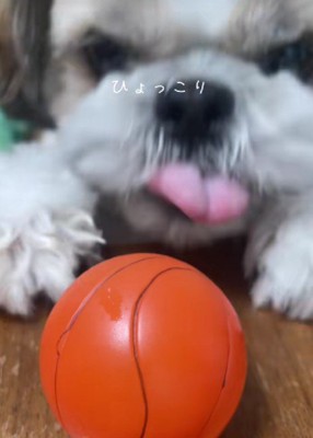 おもちゃを取りたい!!