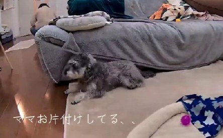 「ママ怒ってるなあ…」