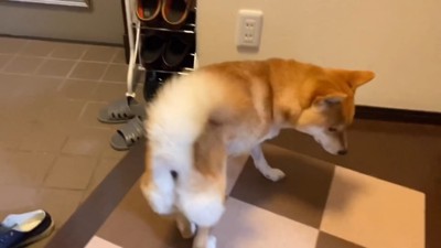 「来ない…」としょんぼり