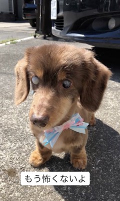 ずっと一緒だよ！