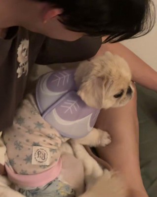 ママさんを無視