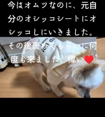 甘える姿が可愛い♡