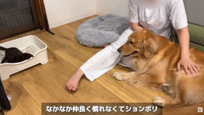 なかなか打ち解けてくれない