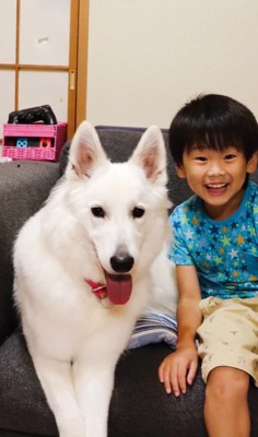 大型犬と子供