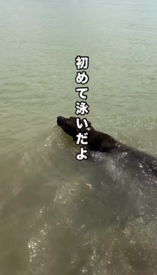初めての海