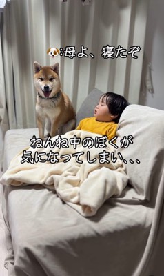 寝ている男の子とボンドくん2