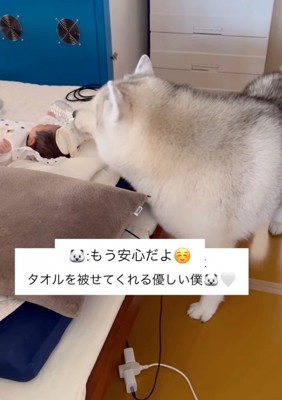 毛布をかけてあげる