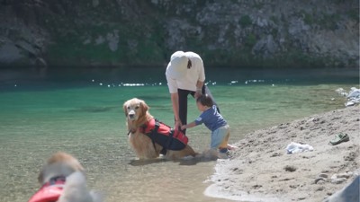 座る犬と手を伸ばす赤ちゃん