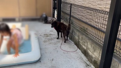 プールで遊ぶ2人の女の子