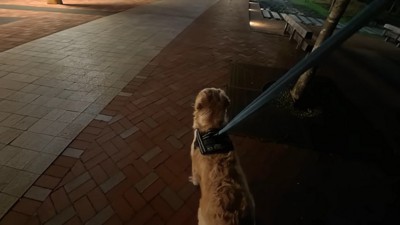 はちくんは覚えているかな?