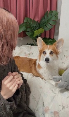 歌の最中にイタズラするうたちゃん⑩