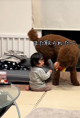 きんとん君VS男の子⑩