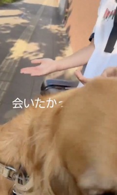 「すぐわかったよ！」