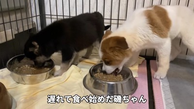 これからは幸せにね!