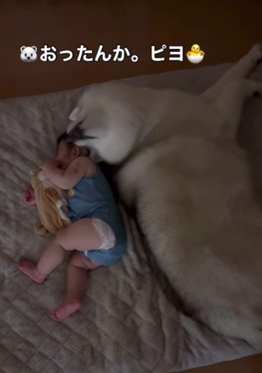 「そこにおったんか」