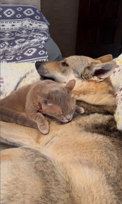 ワゾウスキくん&マイキーくん5