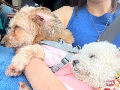 友達もいっぱいできたよ