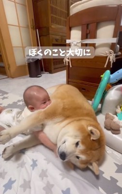 柴雄くんに抱きつく赤ちゃん