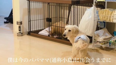 最初の家族との暮らしが始まった