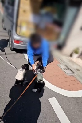 お兄さんに集まる2匹