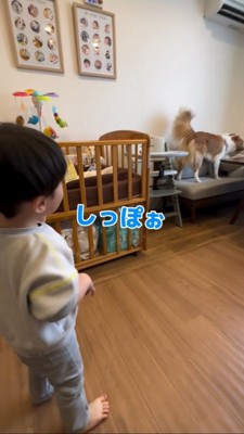 犬のしっぽをみて笑う男の子