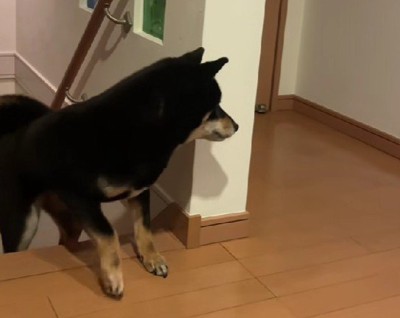 まさかの塩対応に爆笑！