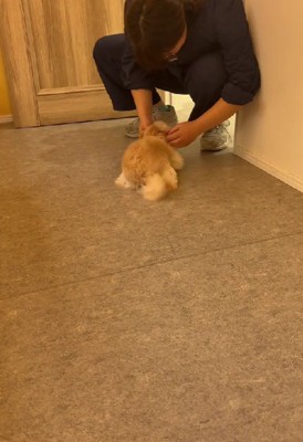 会いたかったよ～！！