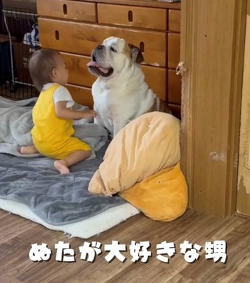 向かい合って座る犬と子ども