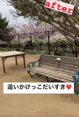 追いかけっこをして遊べるように!