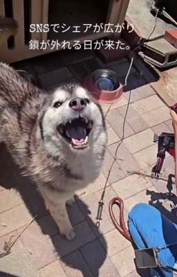 たくさんの人の尽力で…