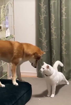 いつまでも仲良しでいてね♡