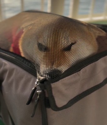 ネットに埋まる犬2