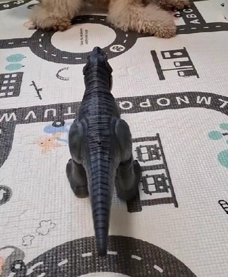 子供部屋に侵入したティーちゃん