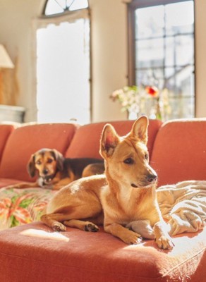 擬人化してみた