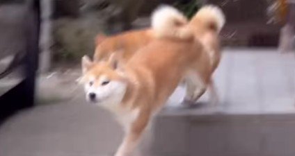 「それいけ！！」