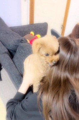 ムキ顔のふうたくん