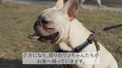 そろそろ帰ろうとしたら…